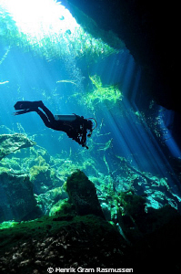 Diver at Ponderosa by Henrik Gram Rasmussen 